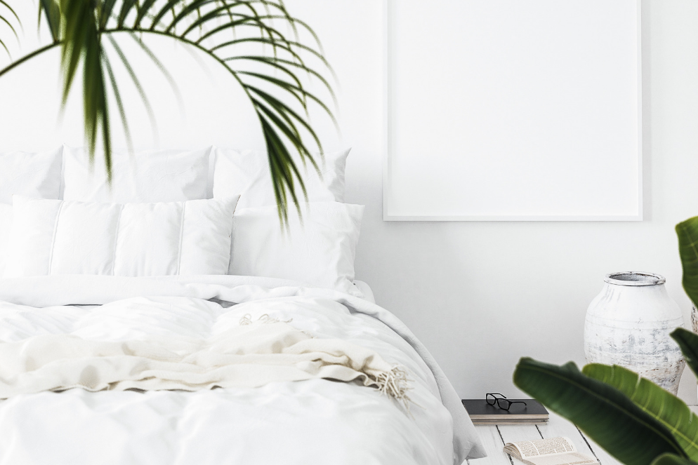 8 rastlin za vašo spalnico